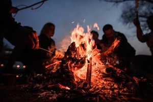 Actividad - Noche Mágica por el Bosque