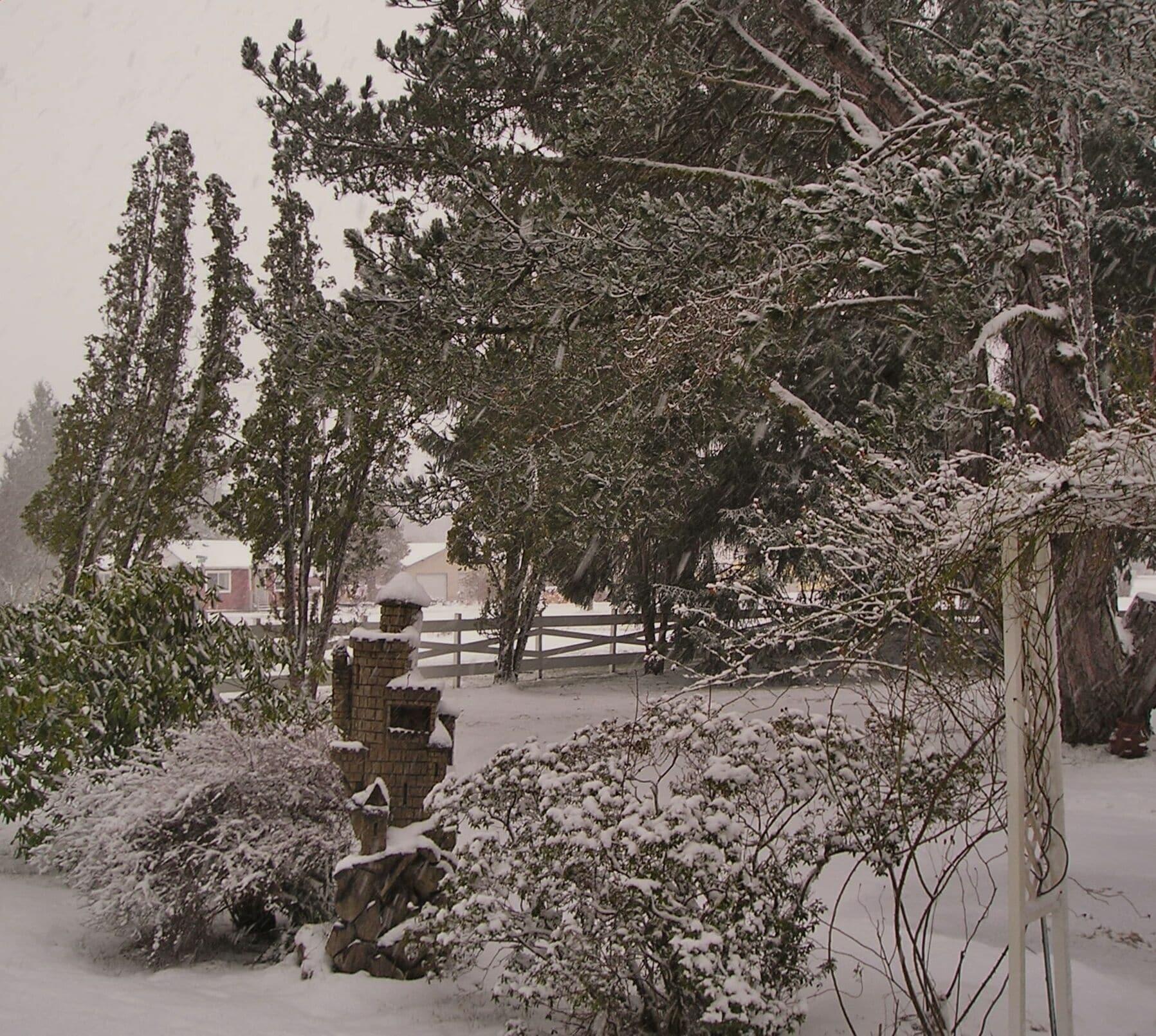 Vista Exterior Miller Tree Inn