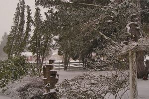 Alojamiento - Miller Tree Inn