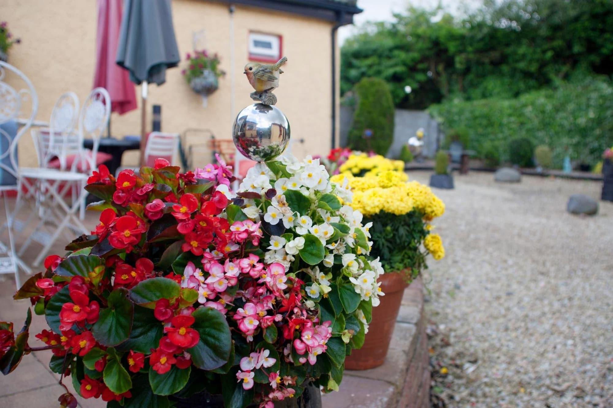 Comodidades del Alojamiento Krakow B&B