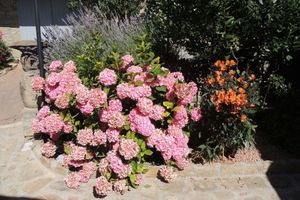 Alquiler Vacacional - Da Fabiana