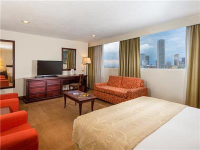 Hotel Hotel Dann Avenida 19