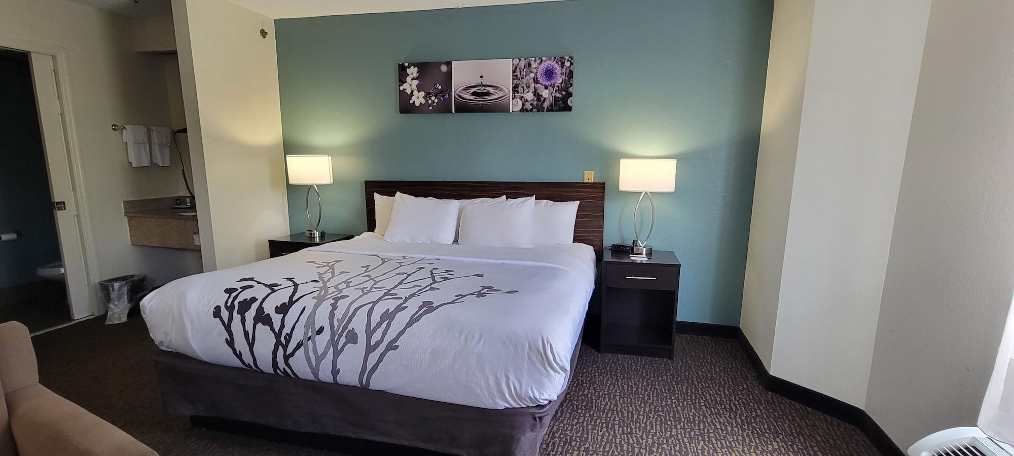 Habitación Sleep Inn Bessemer Helena
