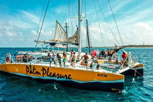 Actividad - Palm Pleasure's Snorkel Adventure