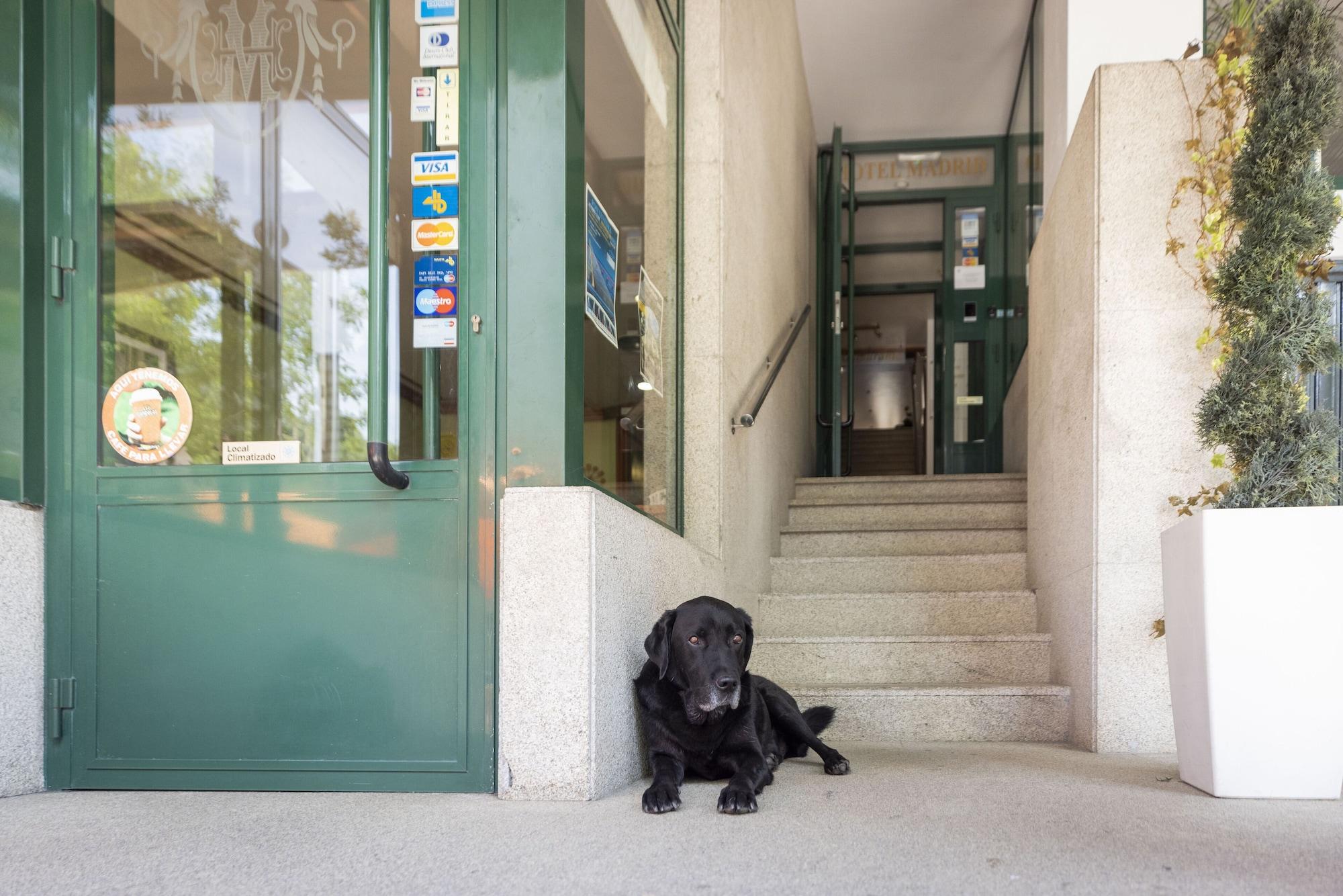 Vista Exterior Hotel Madrid