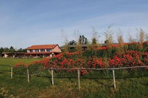 Alojamiento - Agriturismo Podere Amati
