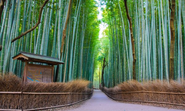 Shimogyo Ward