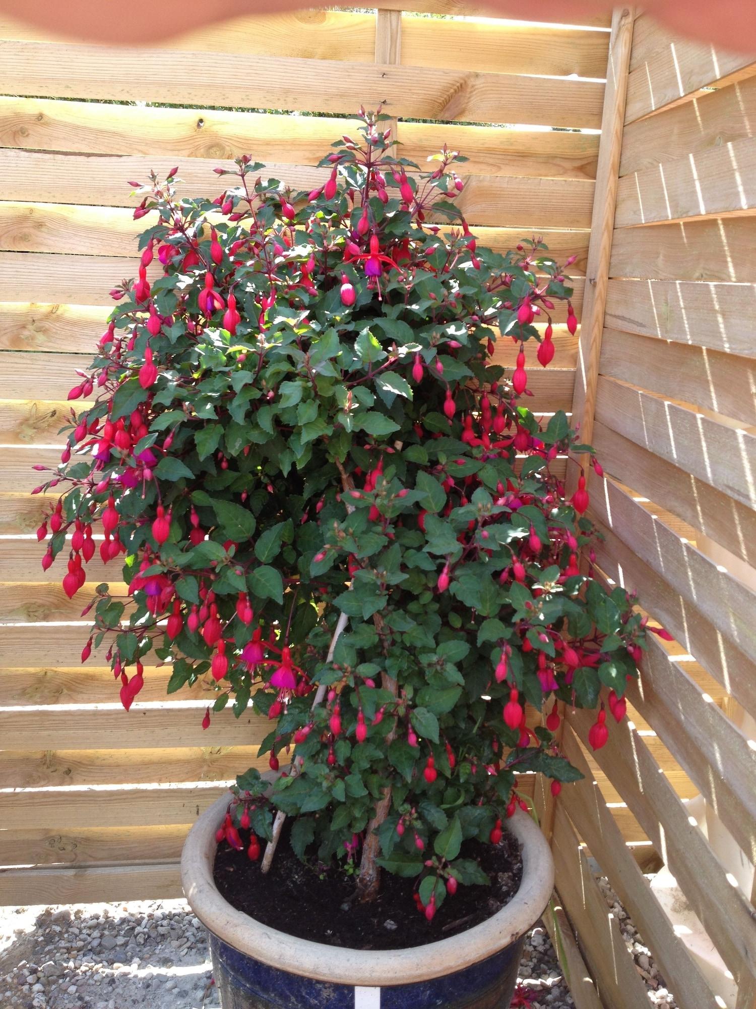 Vista Exterior Hine Bakke Guest House