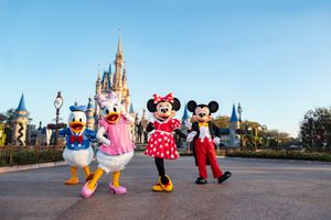 Actividad - Entradas para Walt Disney World Resort