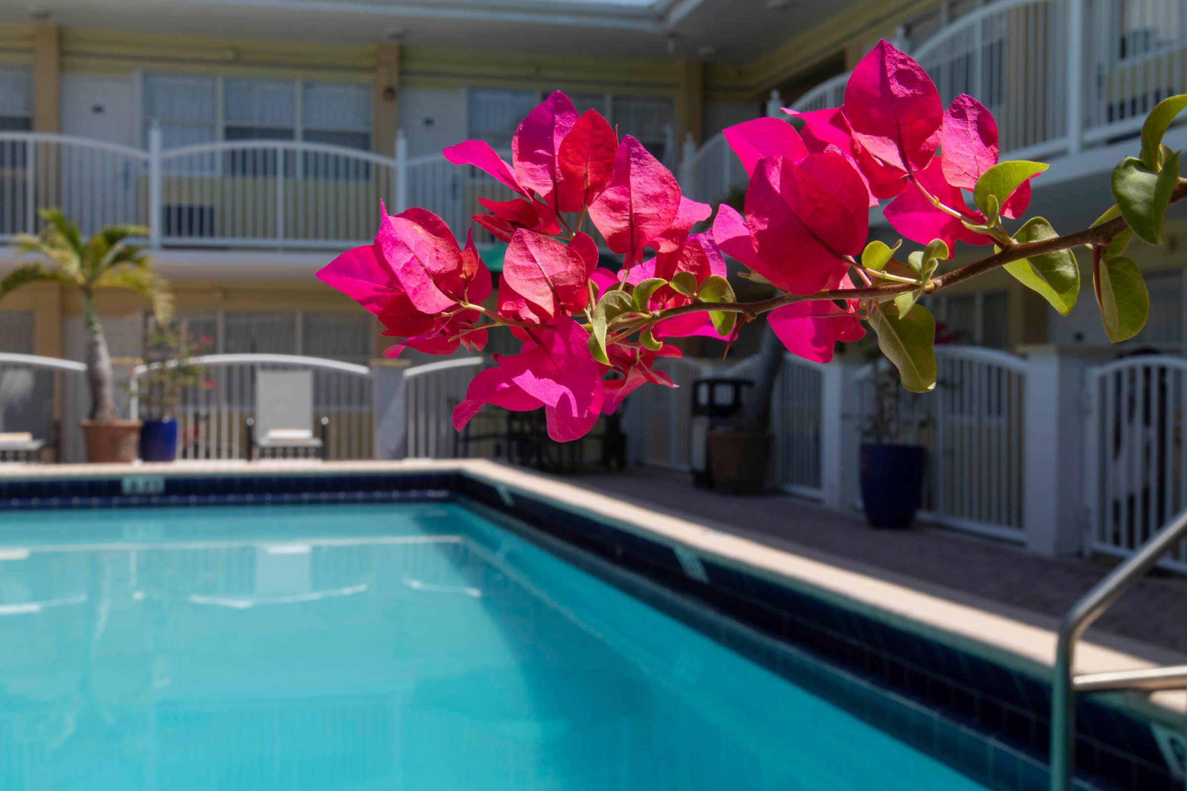 Vista Piscina Beach Place Hotel