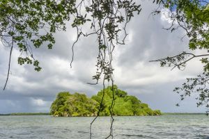 Actividad - Barco por el Parque Nacional de los Haitises + Entrada a las piscinas de Altos de Caño Hondo