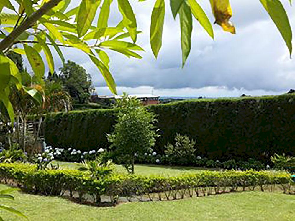 Comodidades del Alojamiento Villas Cipreses - Hostel