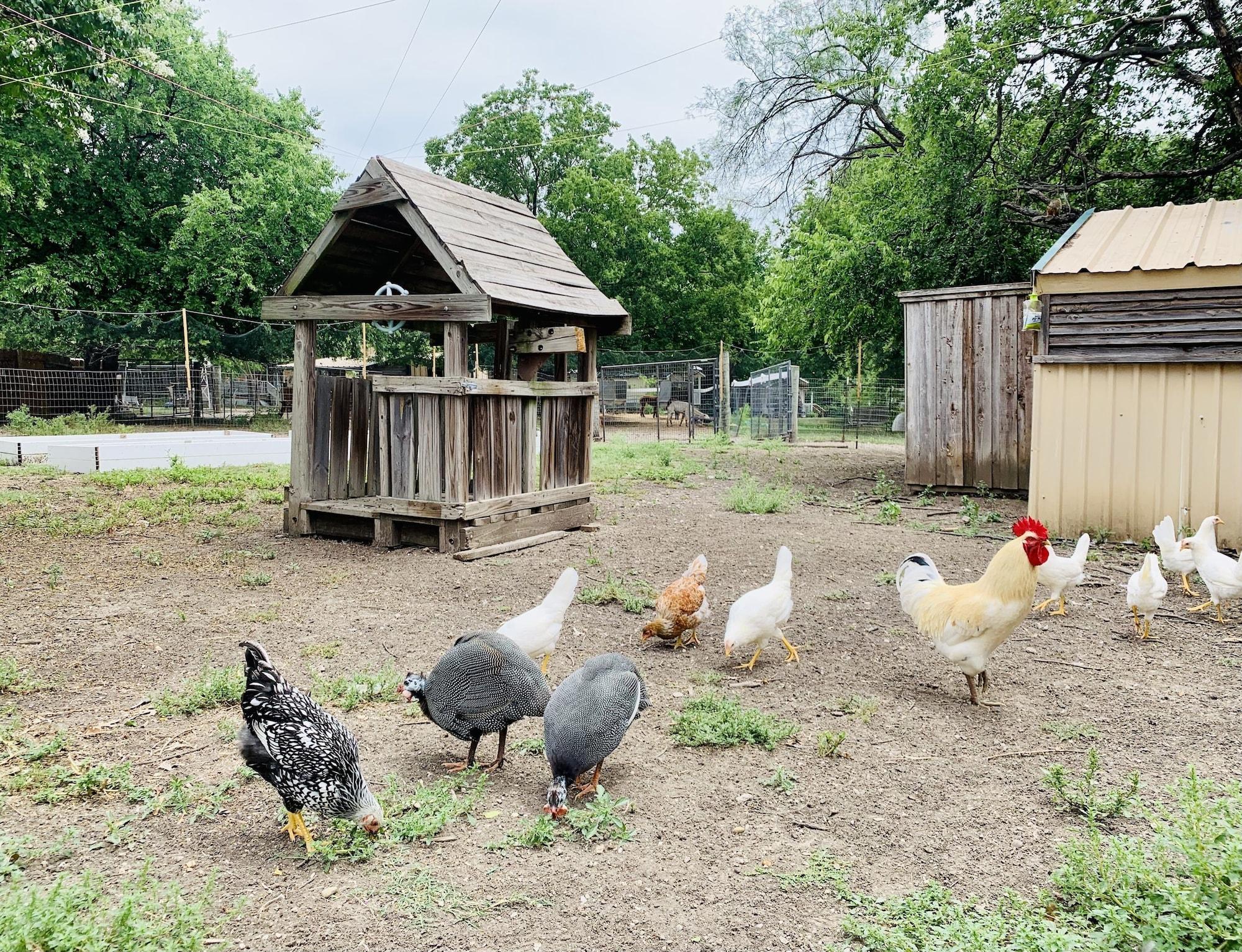 Comodidades del Alojamiento Old Irish Inn
