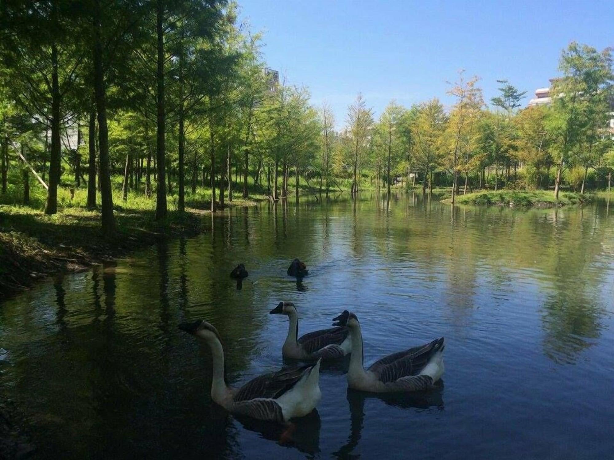 Instalaciones Recreativas Kaho Hotel