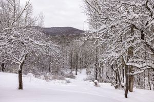 Alquiler Vacacional - Dreamy, contemporary 3-bedroom country home in Sandgate - Great for families!
