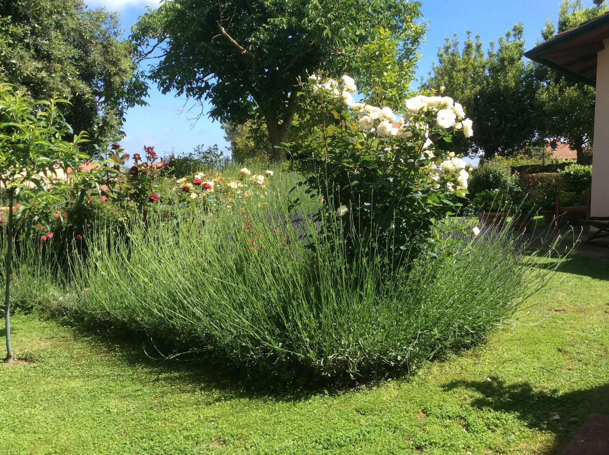 Comodidades del Alojamiento La Primavera B&B