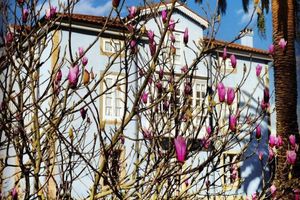 Alojamiento - La Casona Azul