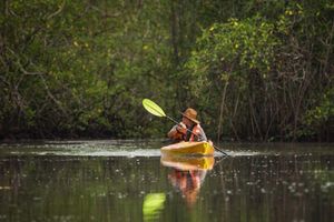 Actividad - Travesía en Kayak por Manglares y Canales en Punta de Tierra, Chiriquí