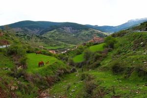 Alojamiento - Posada Real LA ALMAZUELA