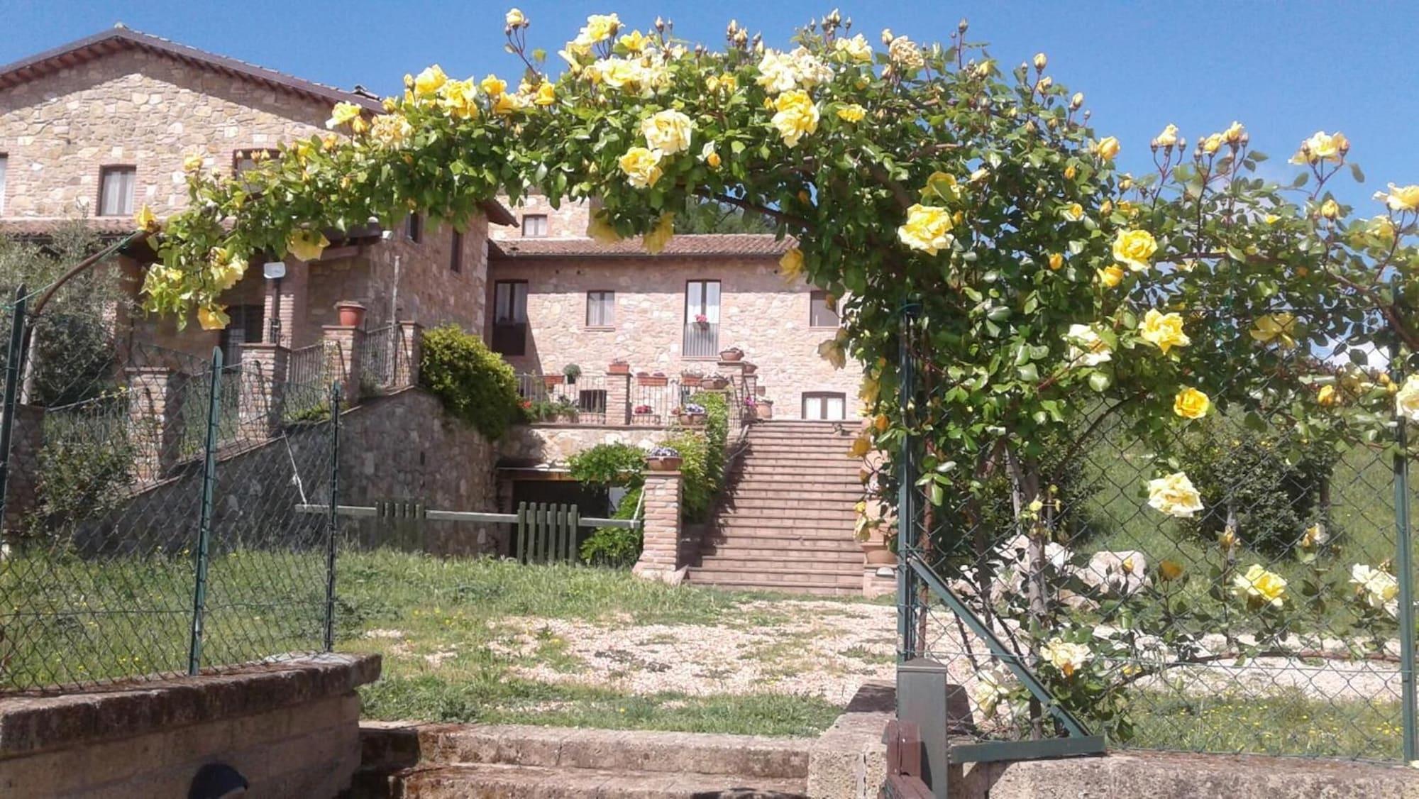 Vista Exterior Agriturismo Olivastrella