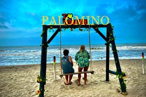 Actividad - Palomino En Familia