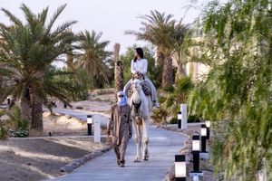 Alojamiento - The Residence Douz