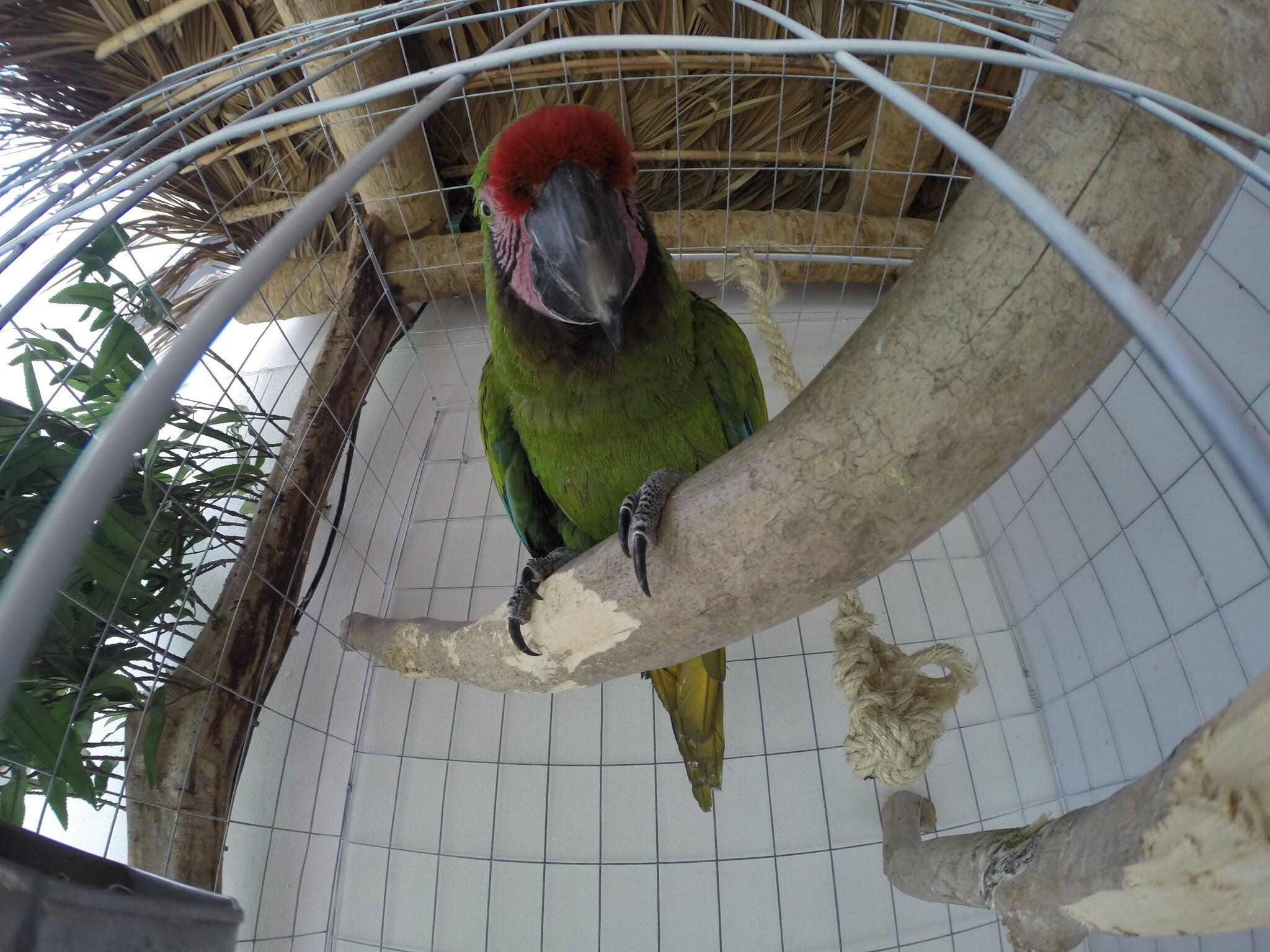 Vista Exterior Kiramar Los Peyotes