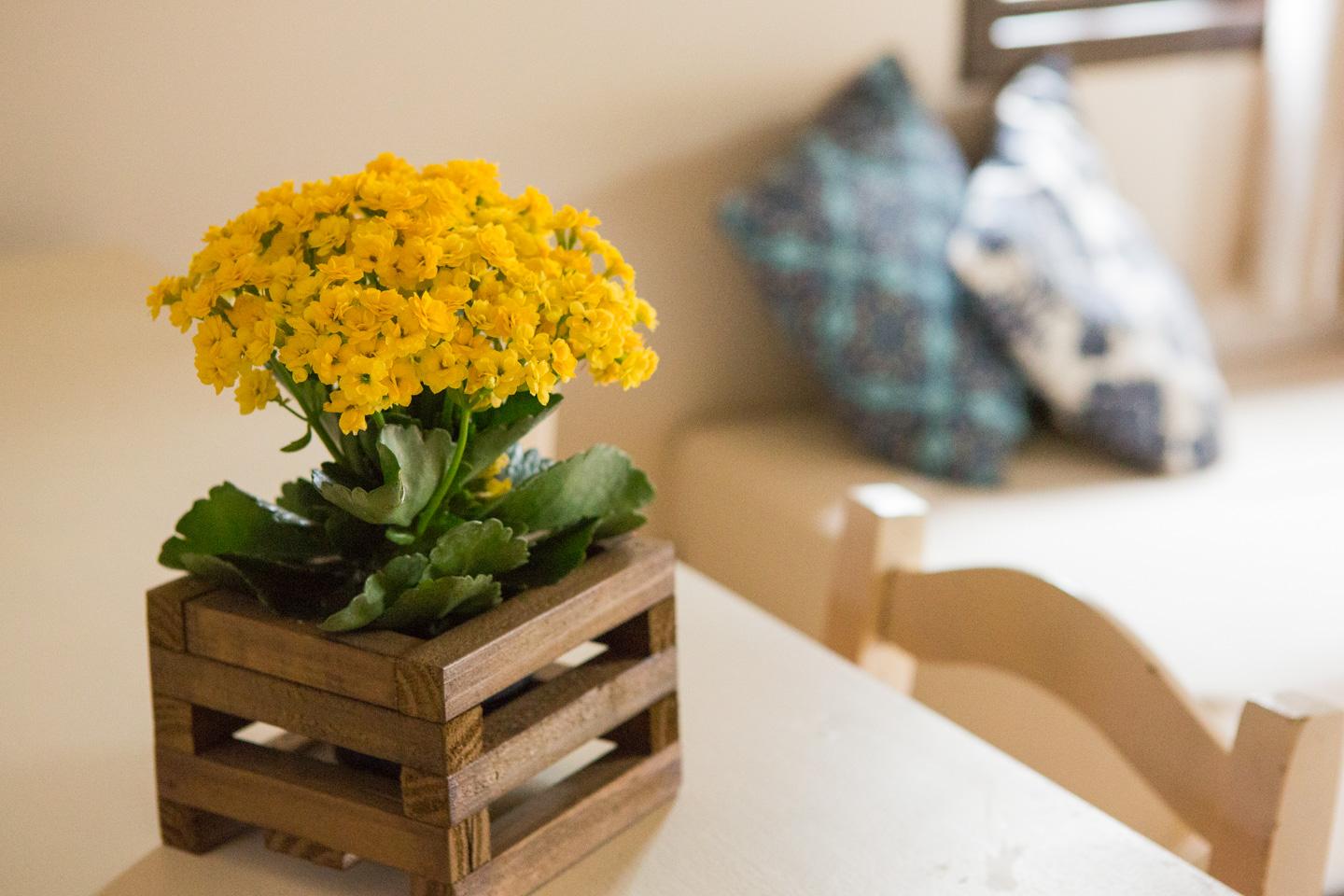 Set de Habitación Vila Moema Pousada