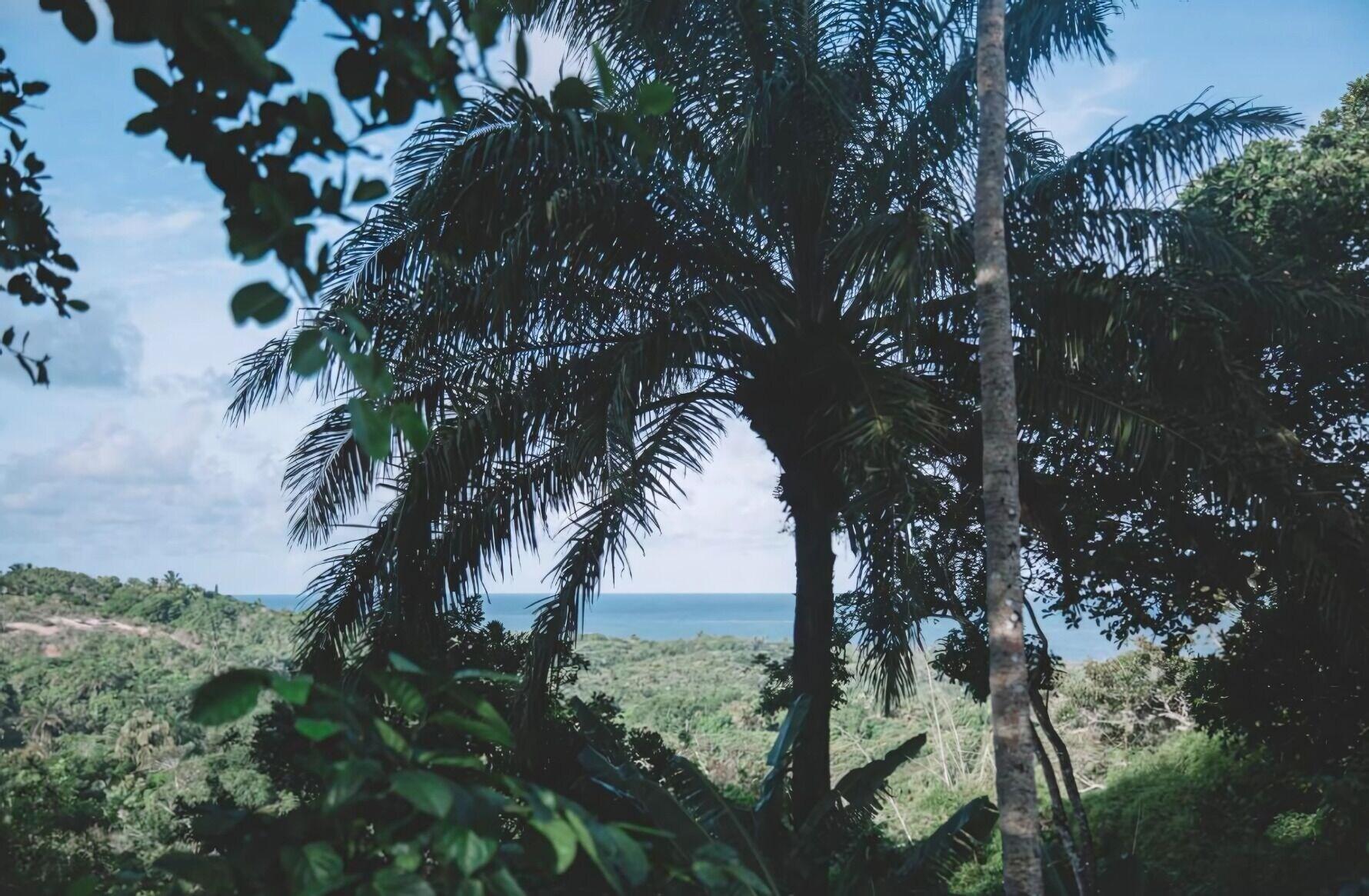 Varios Vila Santo Rei