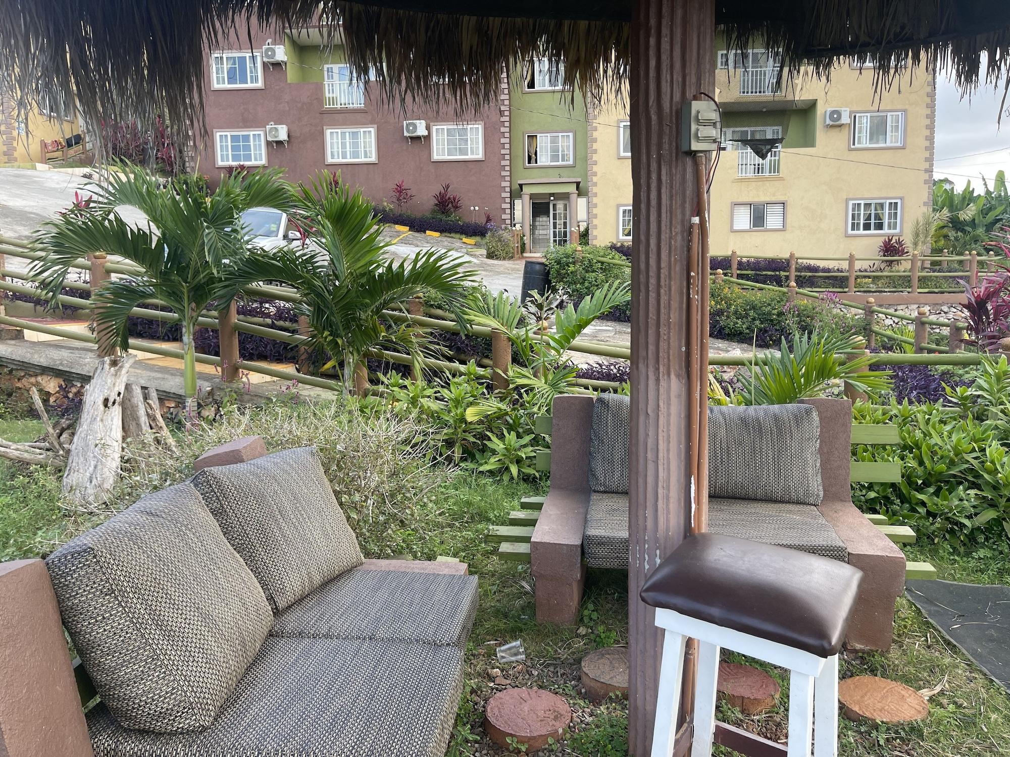 Comodidades del Alojamiento Pirate Palms