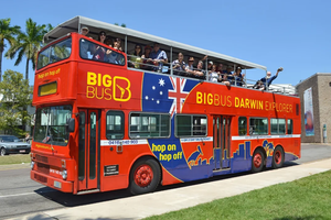 Actividad - Ticket Darwin Premium: Tour de 2 días con paradas libres en autobús descapotable