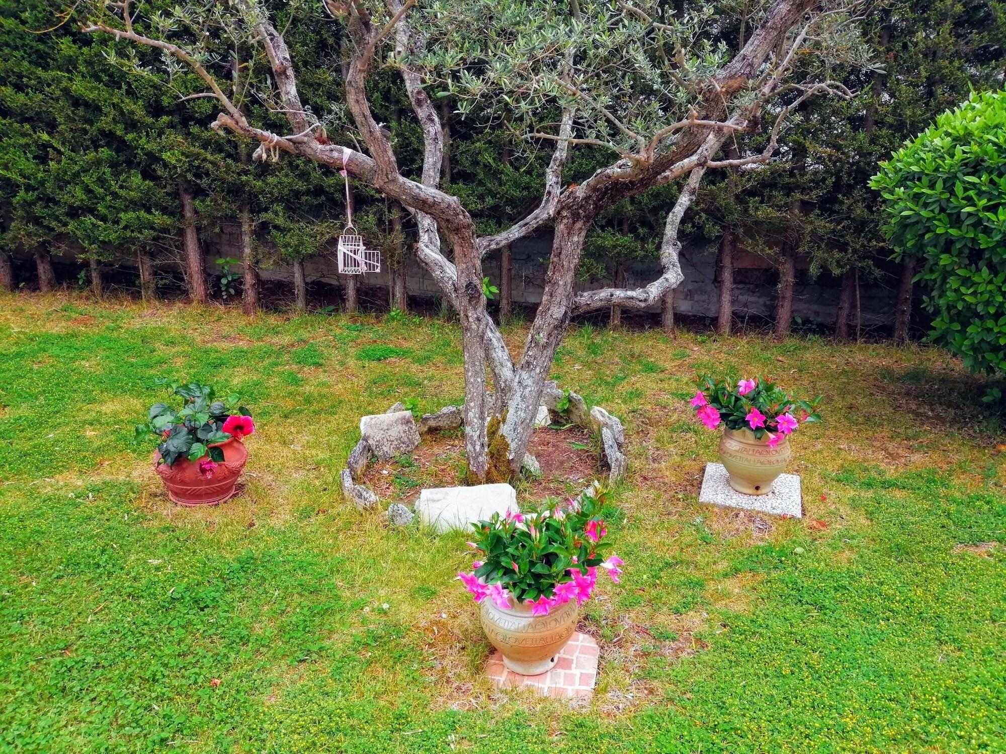 Comodidades del Alojamiento B&B Villa Milena