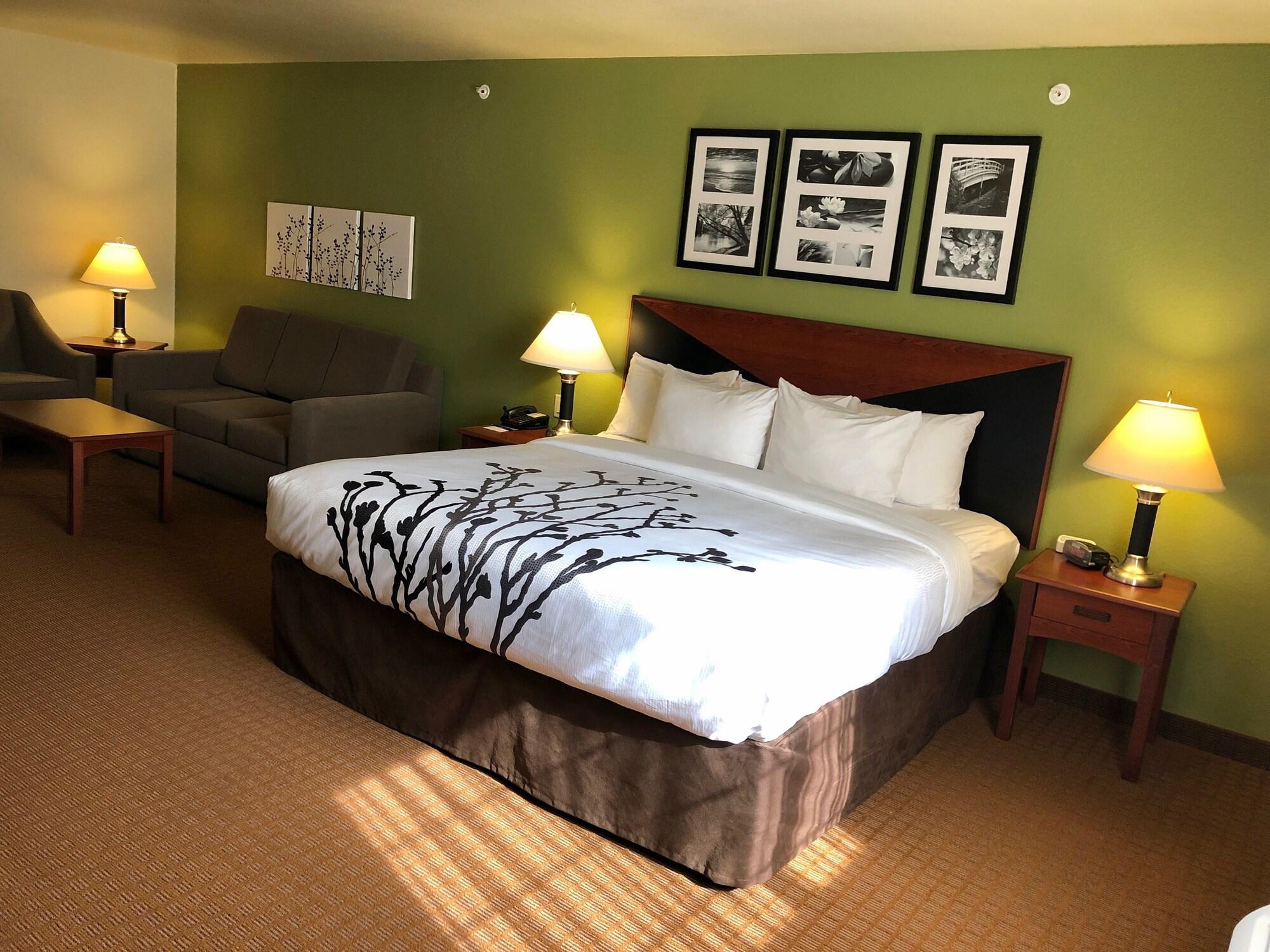 Habitación Sleep Inn & Suites Shamrock