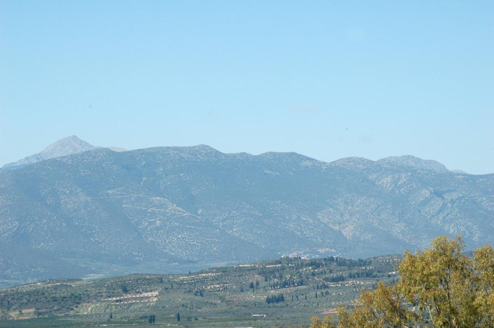 Vista Lobby La Petite Planete