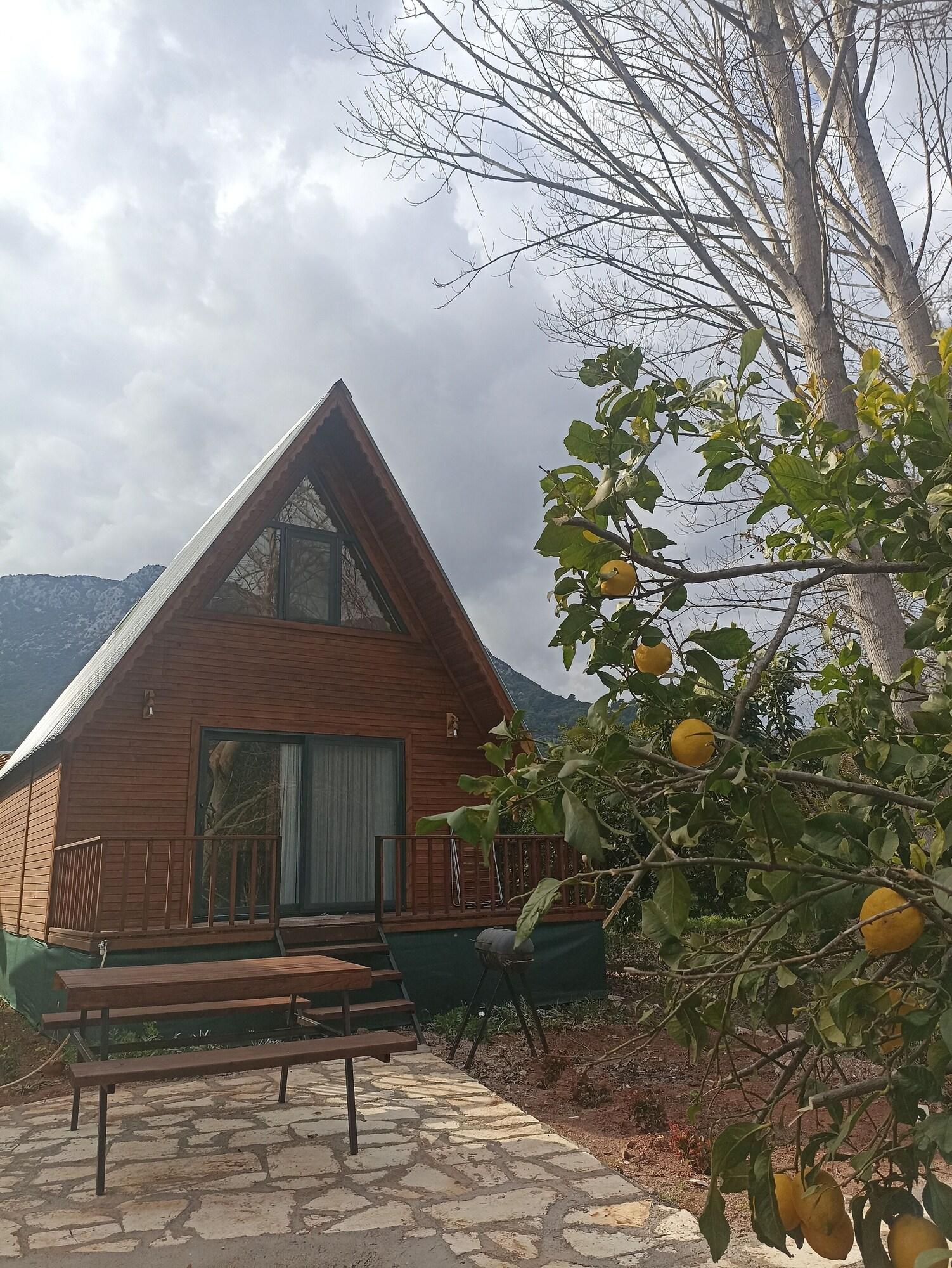 Comodidades del Alojamiento Adrasan Twin Aparts