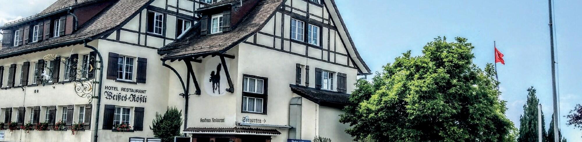 Varios Bodenseehotel Weisses Rössli