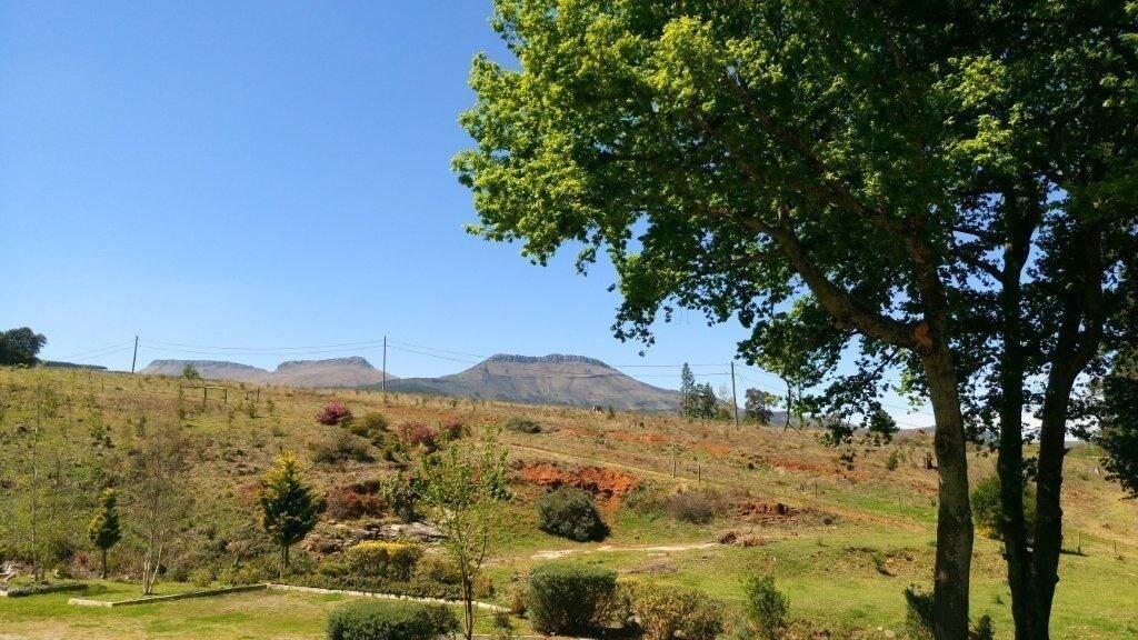 Comodidades del Alojamiento Hogsback Inn