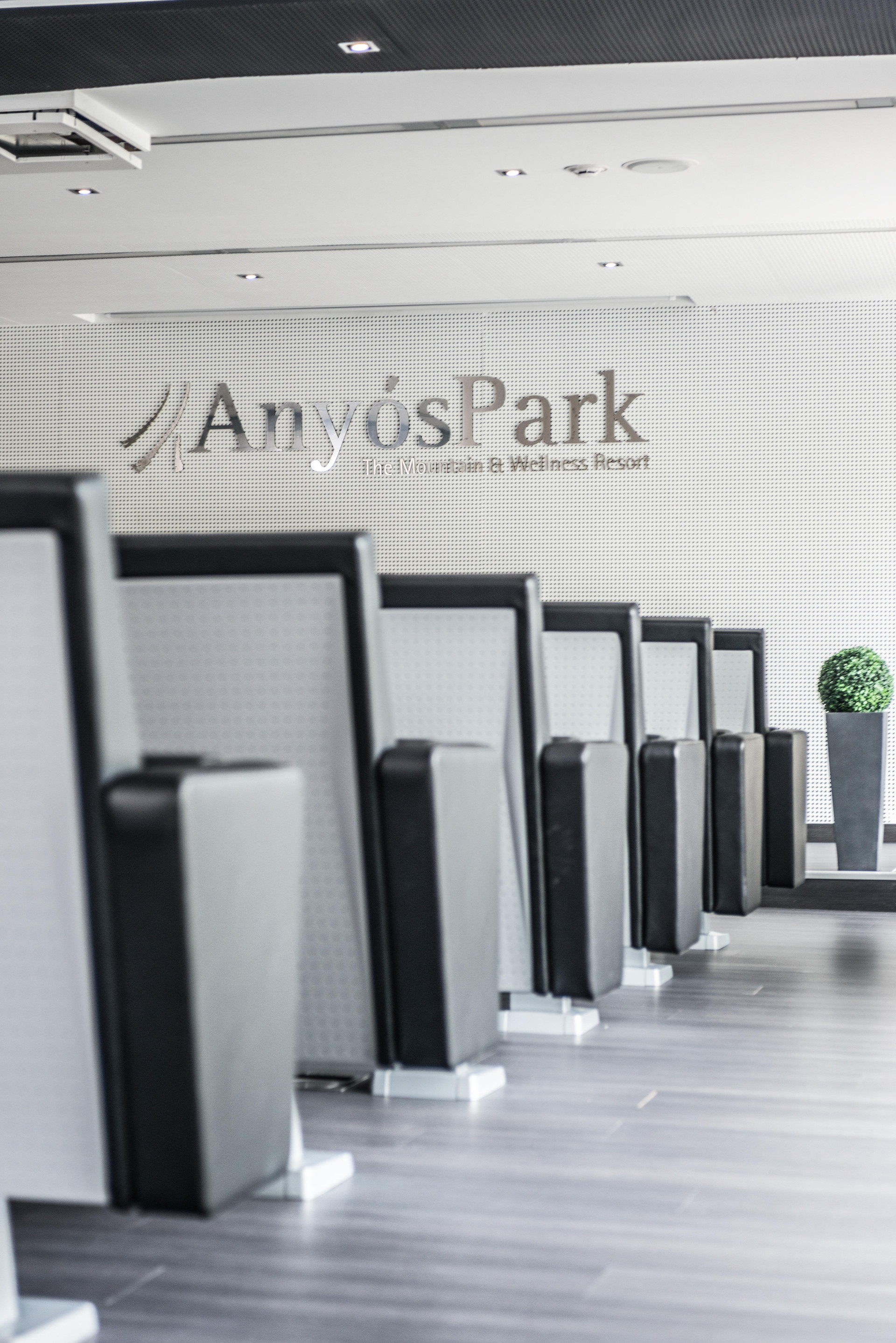 Centro de Negocios AnyosPark Hotel