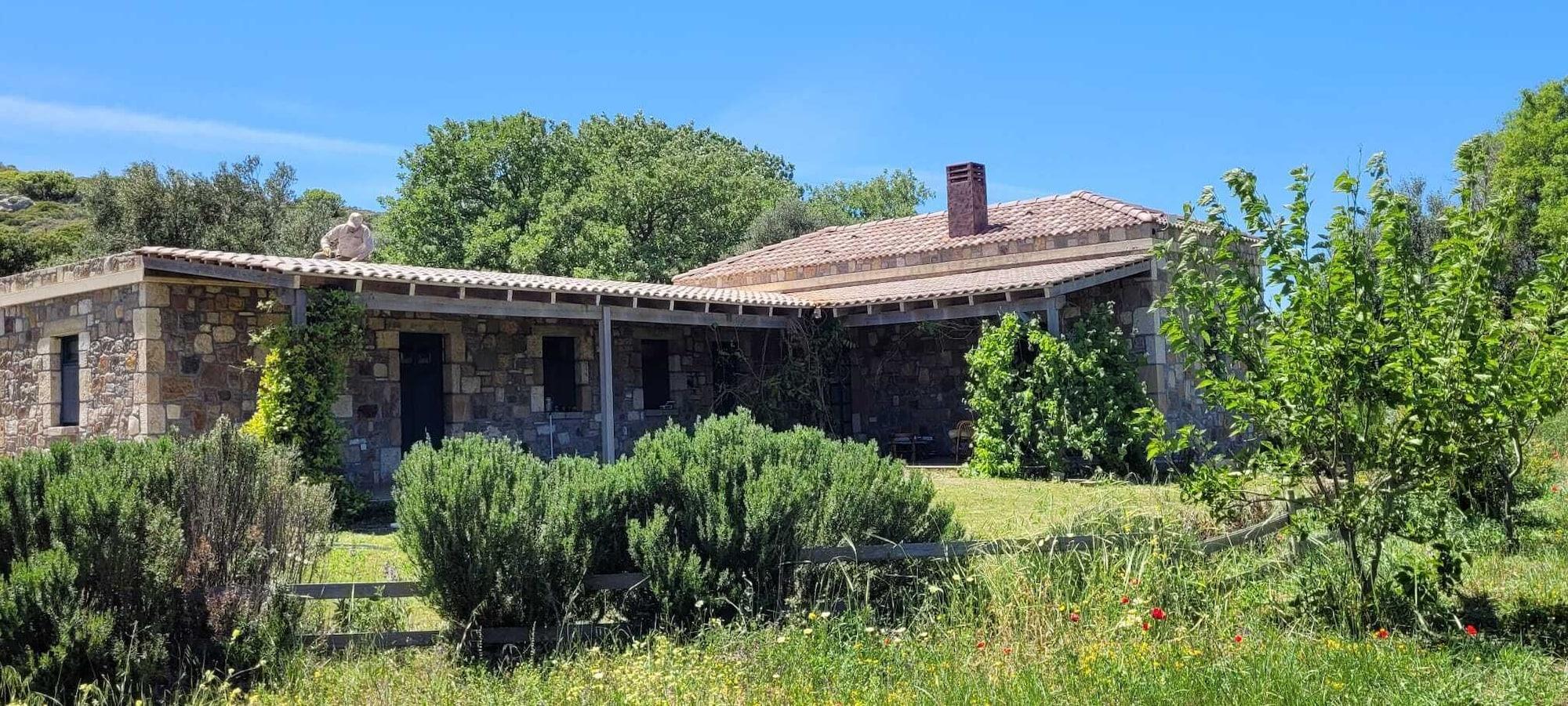 Varios Ruya Bozcaada