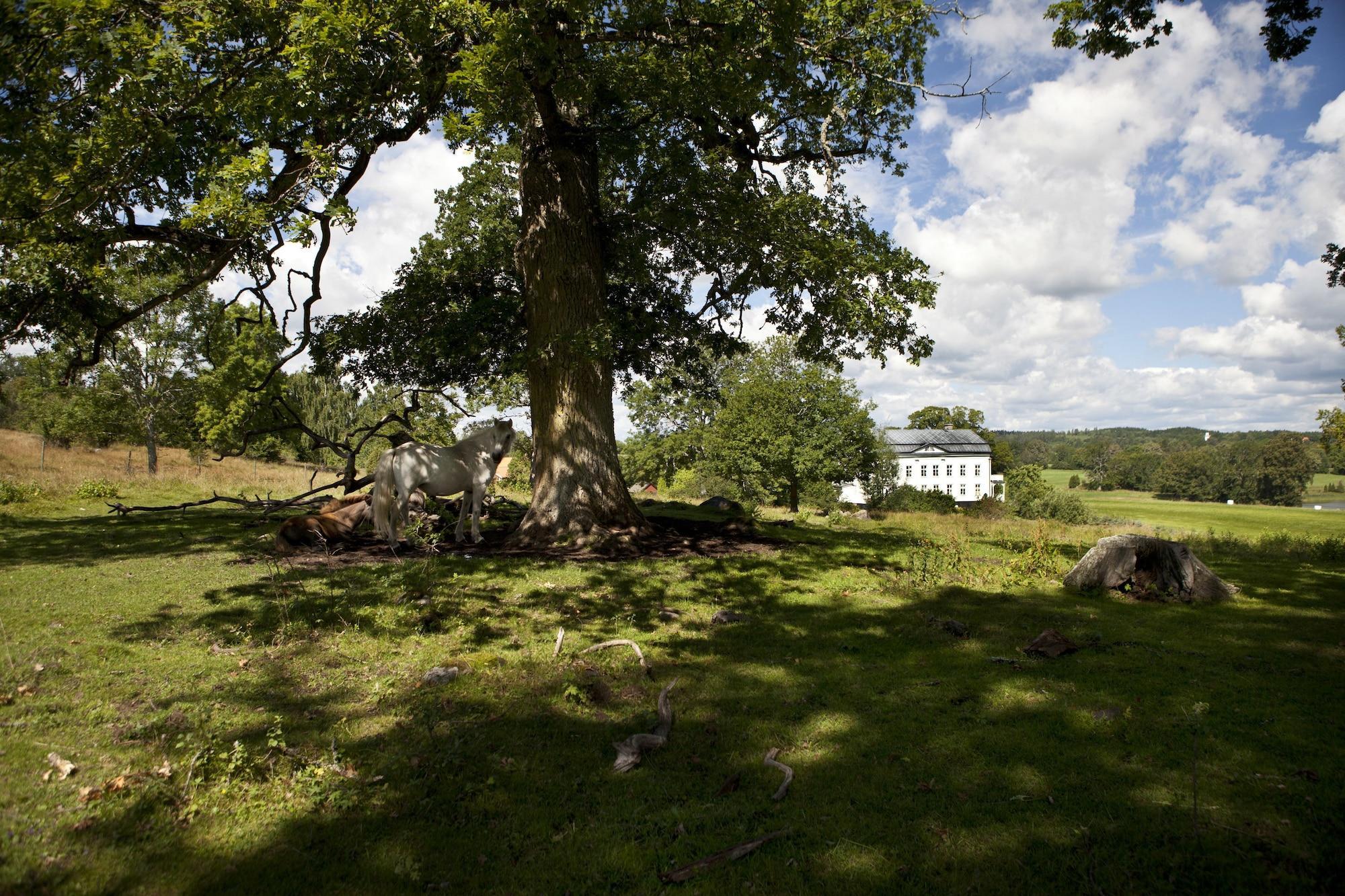 Vista Exterior Wallby Säteri