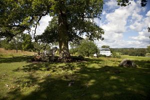 Alojamiento - Wallby Säteri