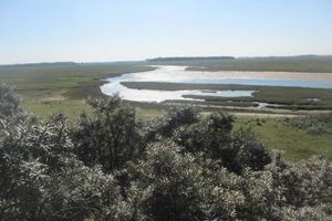 Alquiler Vacacional - Beautiful Villa Near the Beach of Cadzand