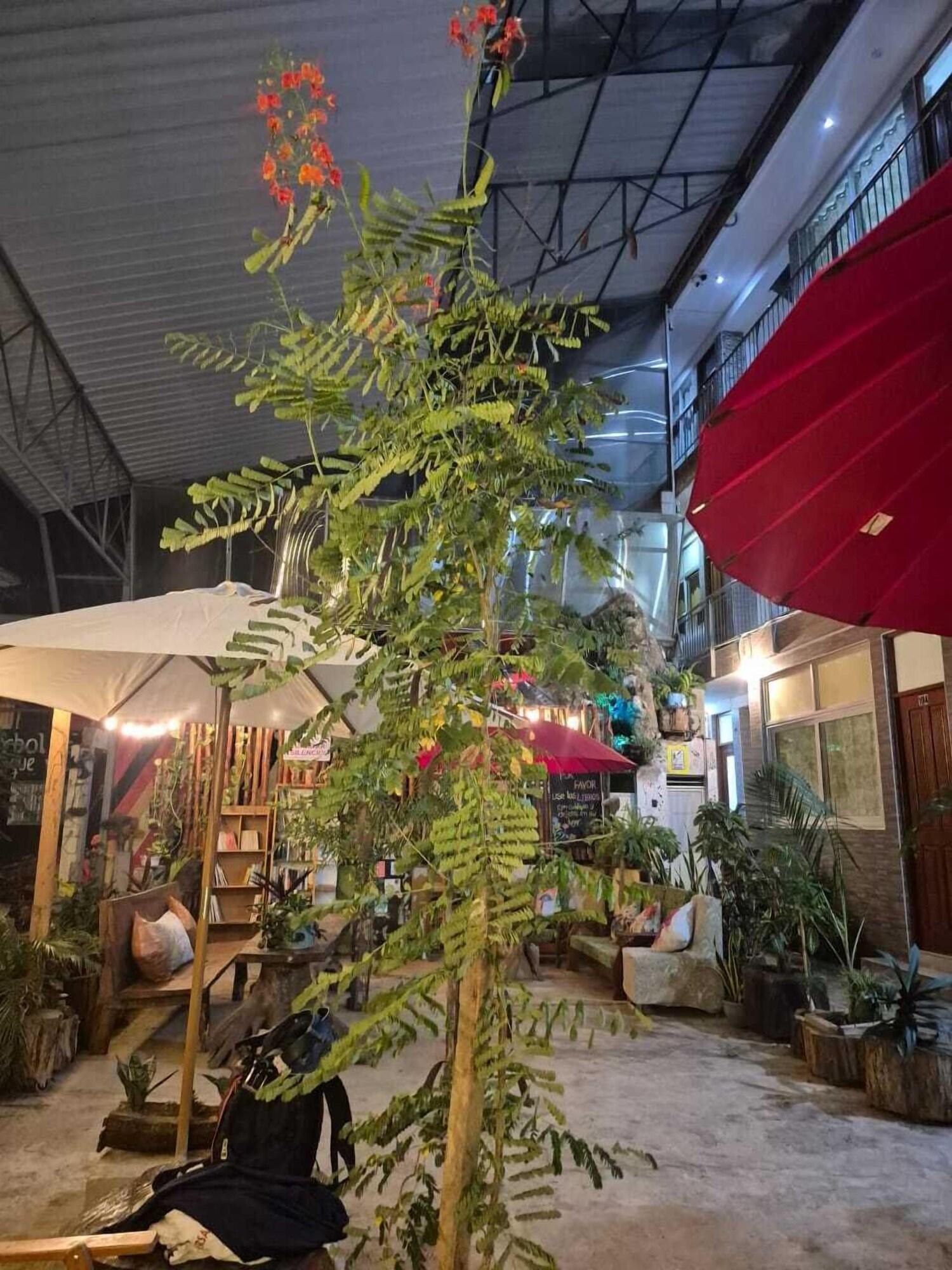 Vista Exterior Libelula Hotel