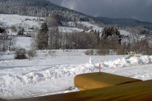 Alquiler Vacacional - Cosy chalet with breathtaking views of the pond and valley in the Vosges mountains