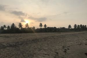 Alojamiento - Reef Pasikudah