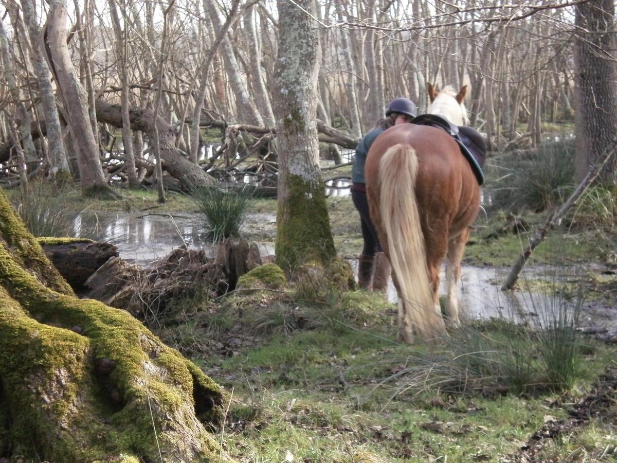 Instalaciones Recreativas Ostello La Sterpaia