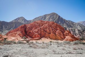 Actividad - Desde Salta: La Bodega del Valle Calchaqui y Tour Paisajistico en Cafayate 