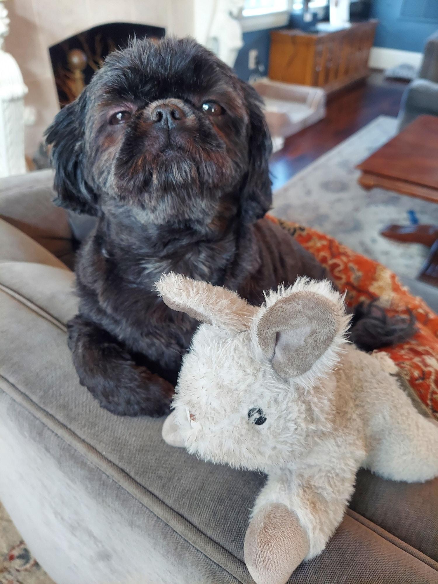 Vista Lobby The Kenwood Gables Boutique Bed & Breakfast