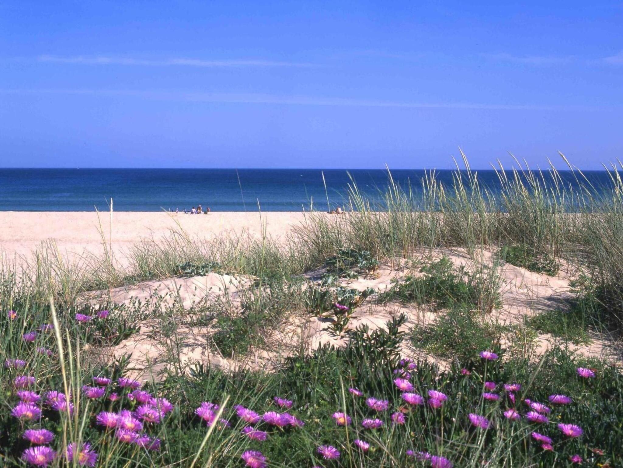 Playa Lagosmar Hotel