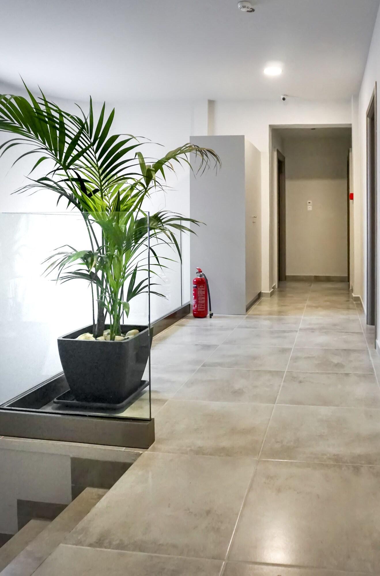 Vista Lobby Pallada Athens Boutique Rooms & Apartments